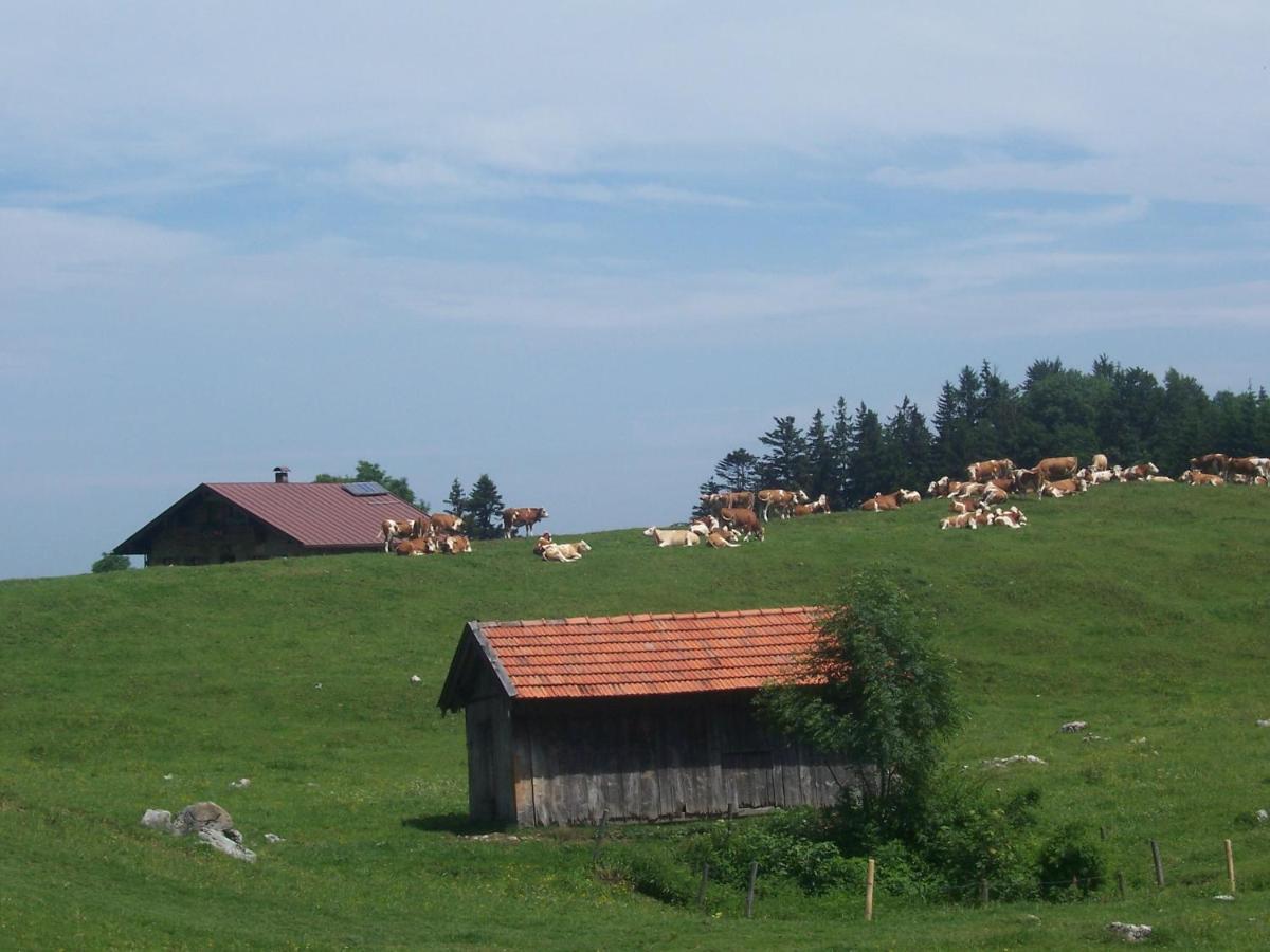 Weberhof Daire Samerberg Dış mekan fotoğraf